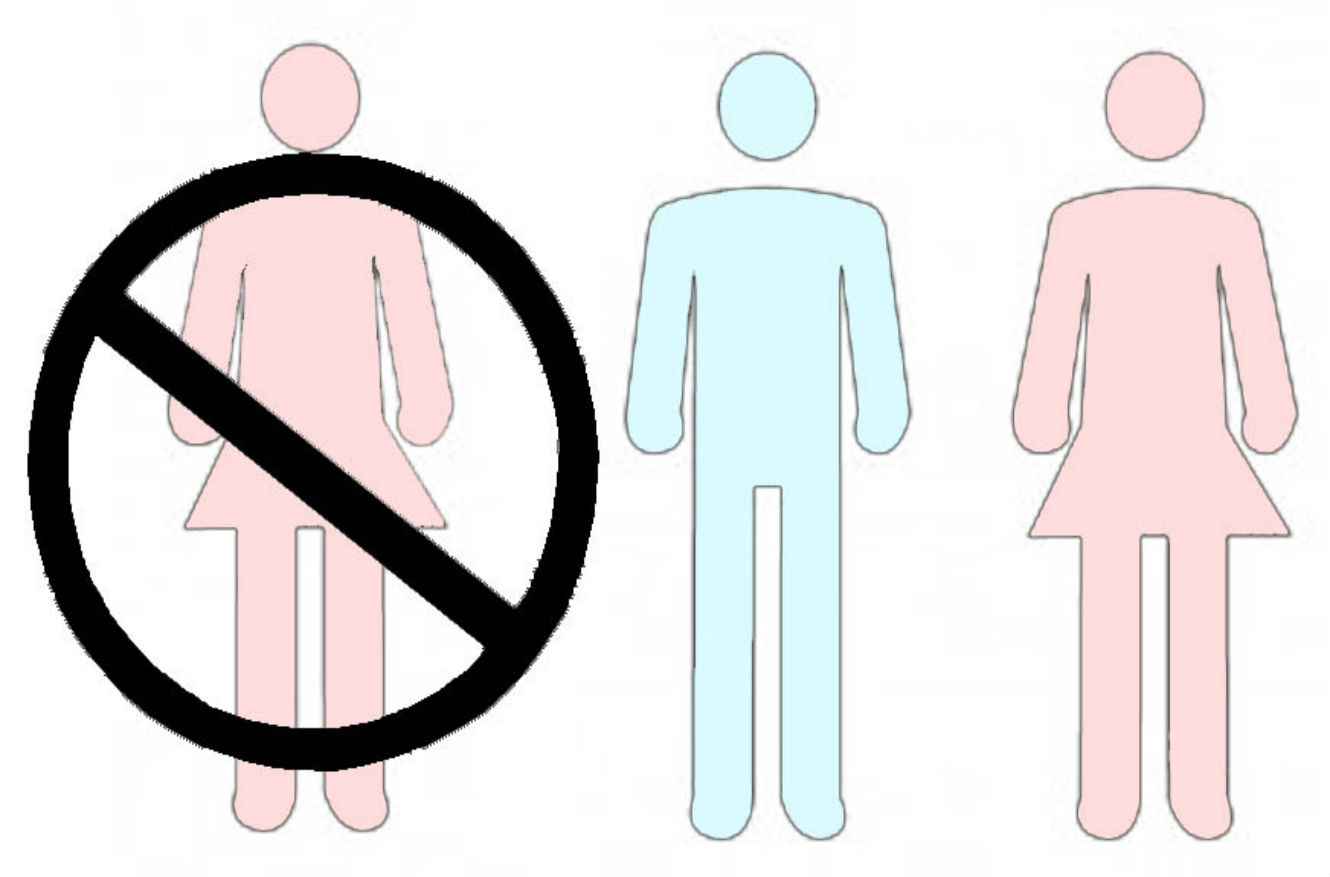 bigamy section 494 ipc