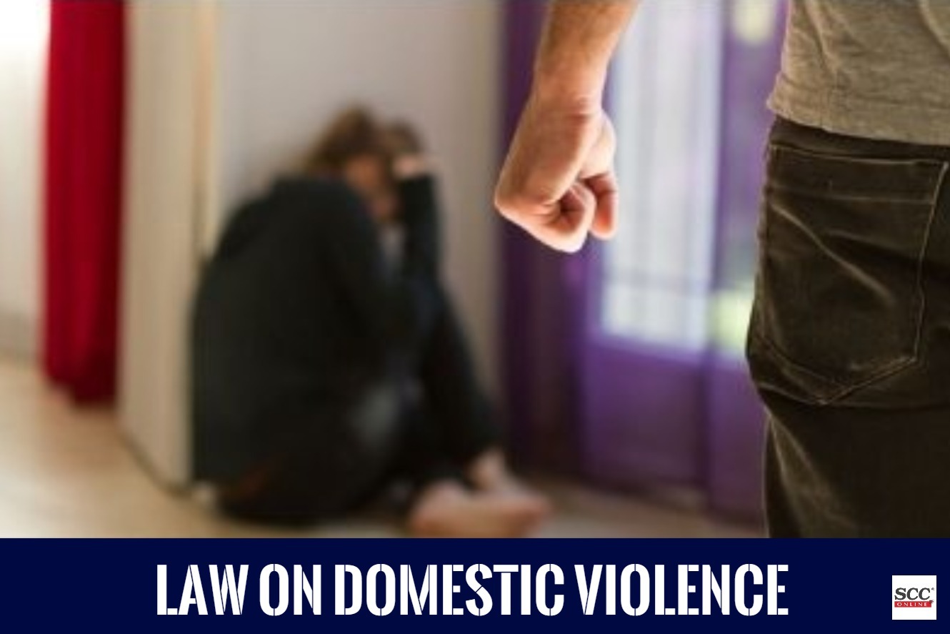 the protection of women from domestic violence act