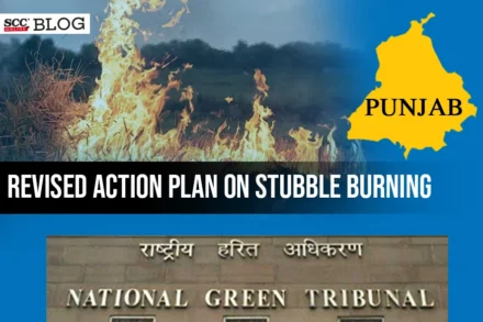 revised action plan on stubble burning in Punjab
