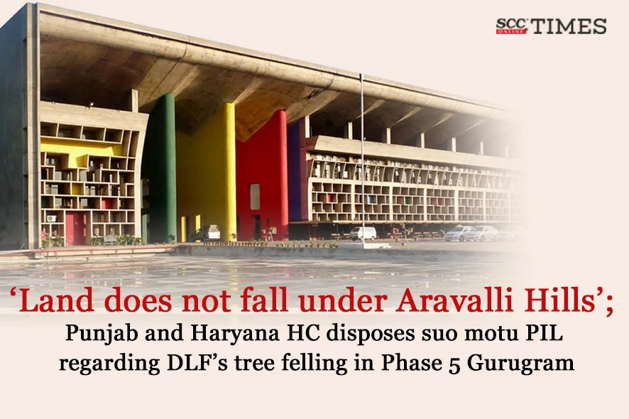 Tree Felling by DLF