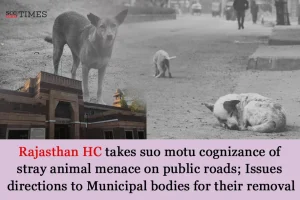 stray animal menace on public roads