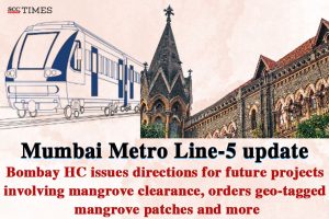 Mumbai metro mangrove clearance