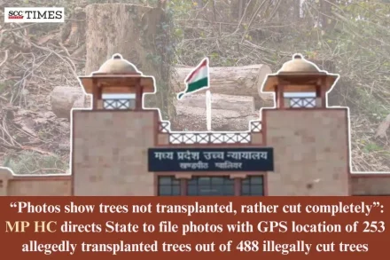 253 allegedly transplanted trees