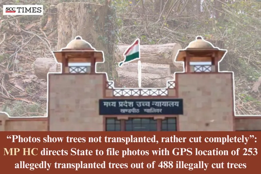 253 allegedly transplanted trees