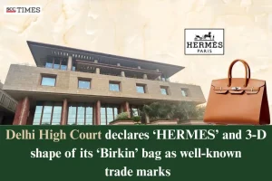 Hermes Birkin well-known trade mark