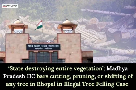 Illegal Tree Felling Case