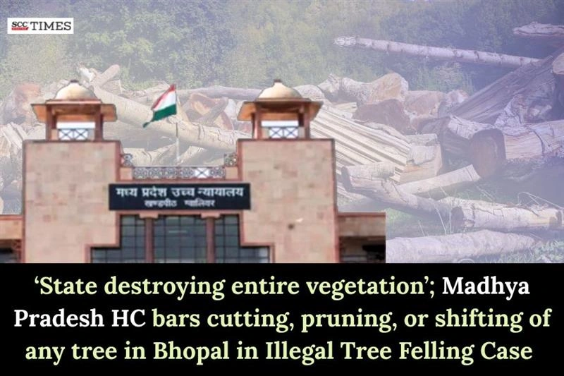 Illegal Tree Felling Case