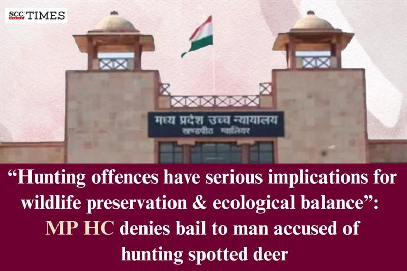 hunting spotted deer