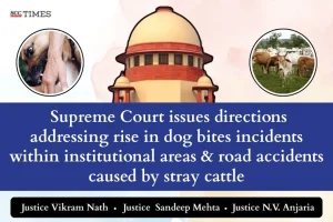 rise in dog bites incidents