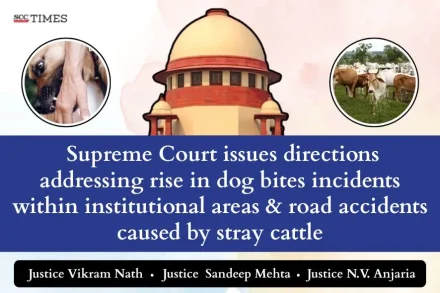 rise in dog bites incidents