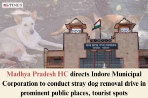 stray dog removal drive