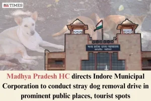 stray dog removal drive