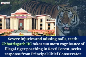 illegal tiger poaching