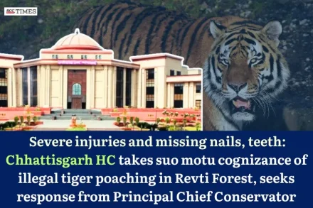 illegal tiger poaching