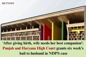 Bail to husband to support wife after child birth