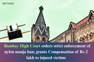 nylon manja ban enforcement