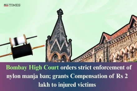 nylon manja ban enforcement