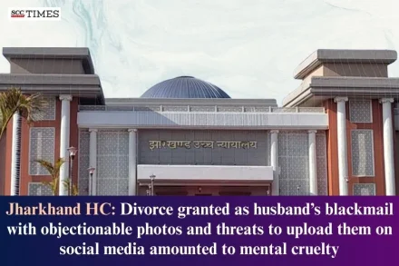 objectionable photos is mental cruelty