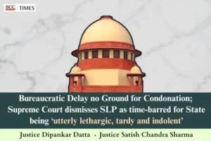 Condonation of delay in government litigation