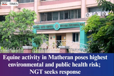 equine activity in Matheran