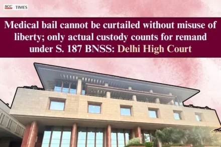 interim bail custody calculation