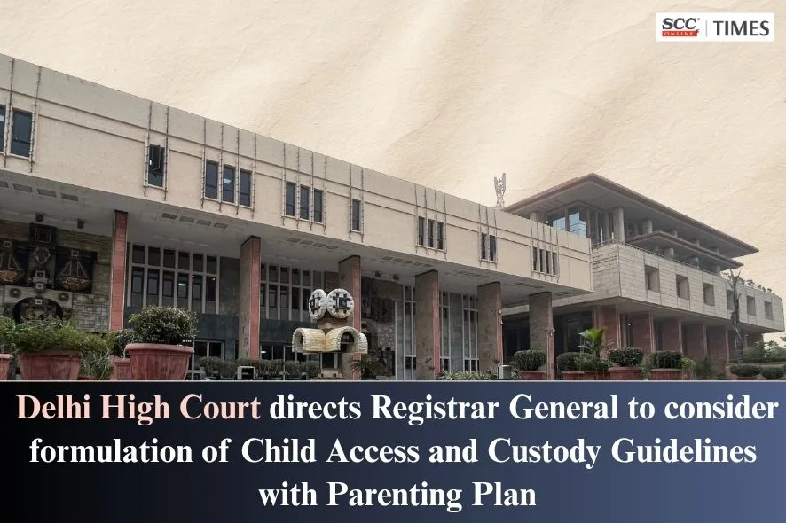 Child Access and Custody Guidelines