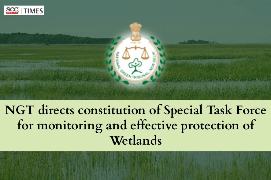 Direction for Wetland Protection